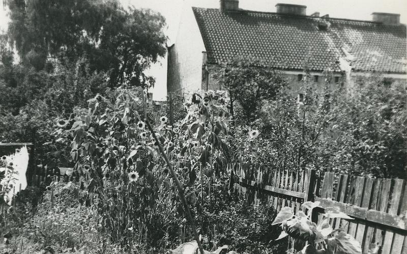 KKE 5170.jpg - Fot. Ulica Jaracza 11.Ogród, Ostróda, lata 70–te XX wieku.